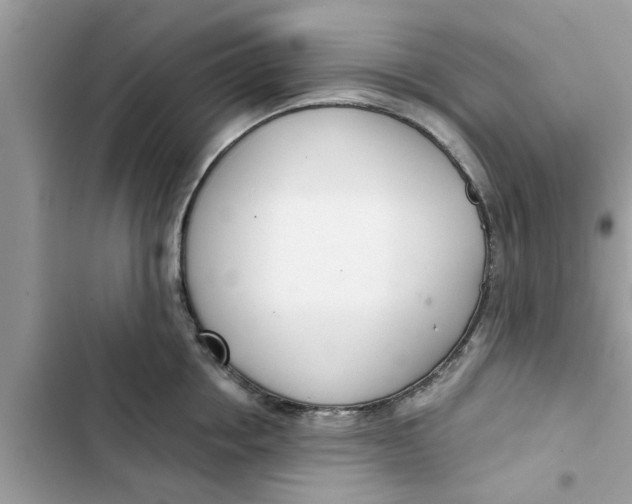 X0000103260858200809191717