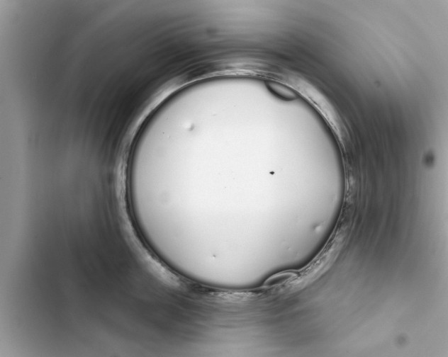 X0000103260859200809191717