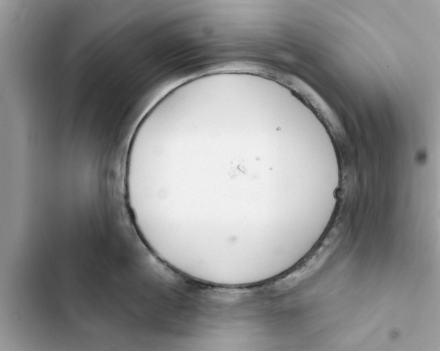 X0000103260860200809191717