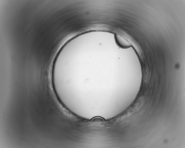 X0000103260861200809191717