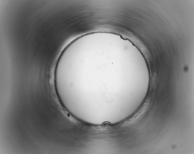 X0000103260862200809191717