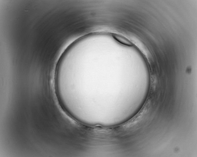 X0000103260863200809191717