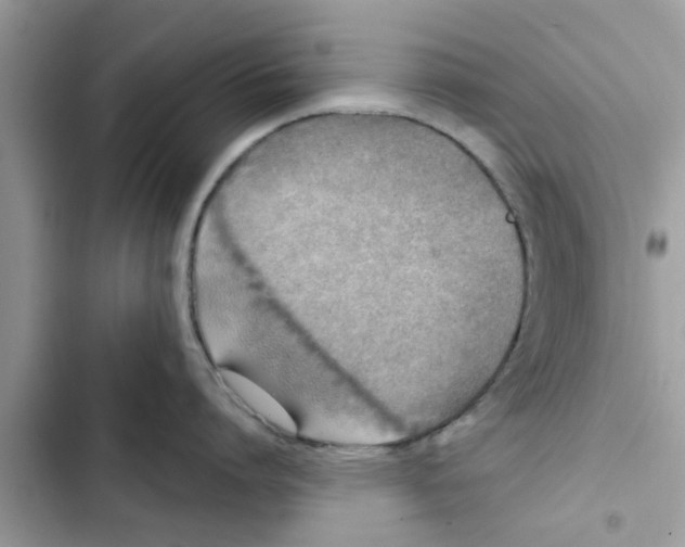 X0000103260864200809191717