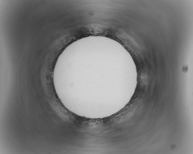 X0000103260865200809191716