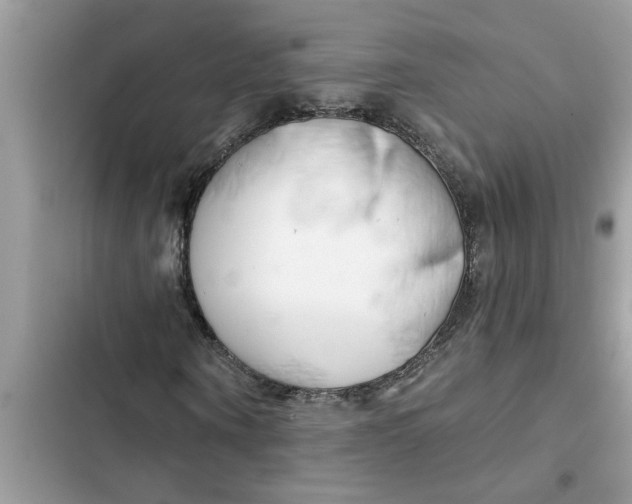 X0000103260866200809191716