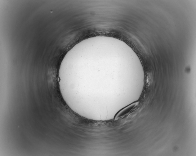 X0000103260867200809191716