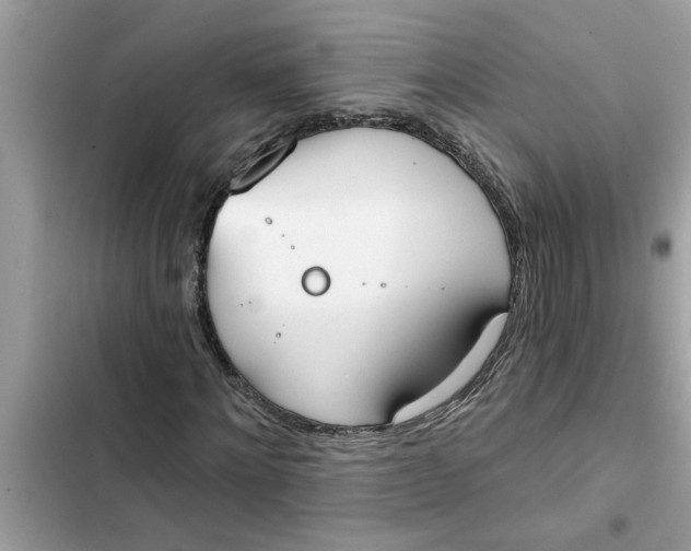 X0000103260868200809191716