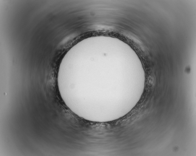 X0000103260869200809191716