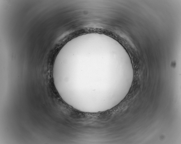 X0000103260870200809191716