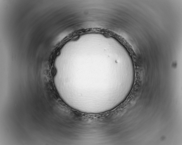 X0000103260871200809191716