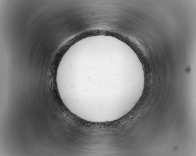 X0000103260872200809191716