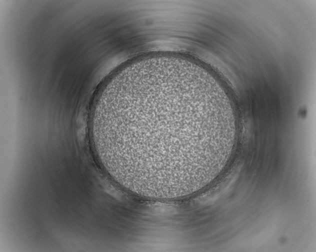 X0000103260874200809191716