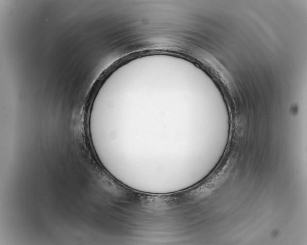 X0000103260875200809191716