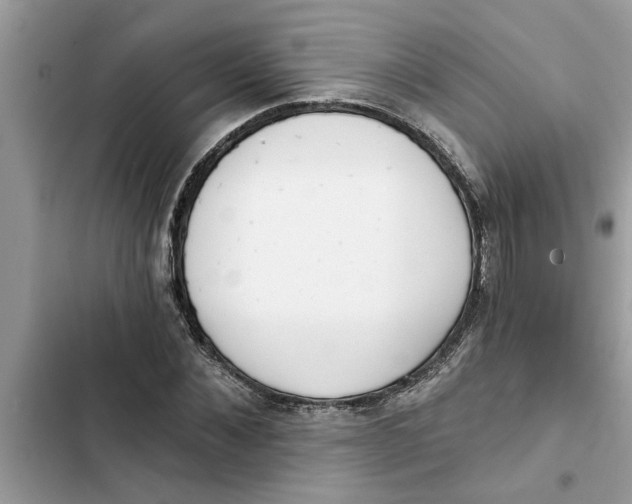 X0000103260876200809191716