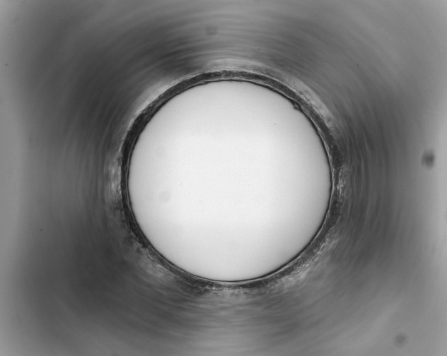 X0000103260877200809191716