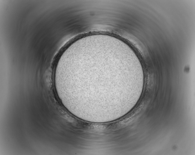 X0000103260878200809191716