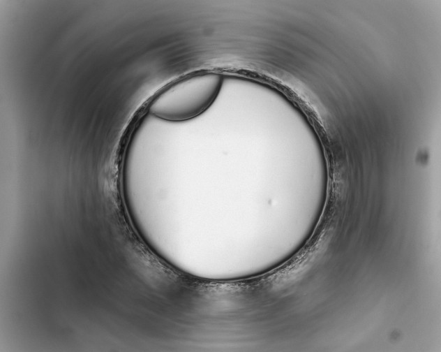 X0000103260879200809191716