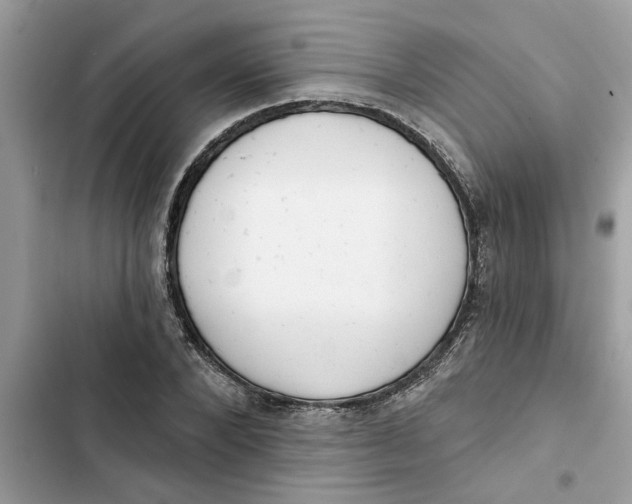 X0000103260880200809191716