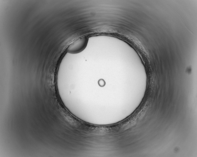 X0000103260881200809191716