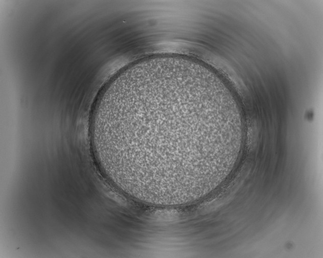 X0000103260882200809191716