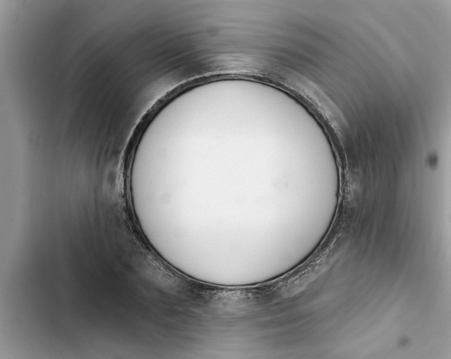 X0000103260883200809191716