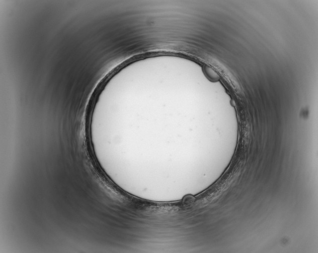 X0000103260884200809191716