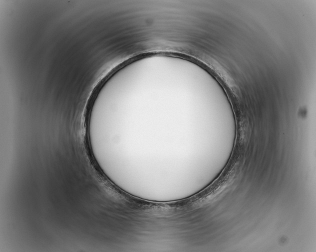 X0000103260885200809191716