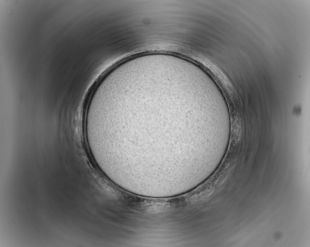 X0000103260886200809191716