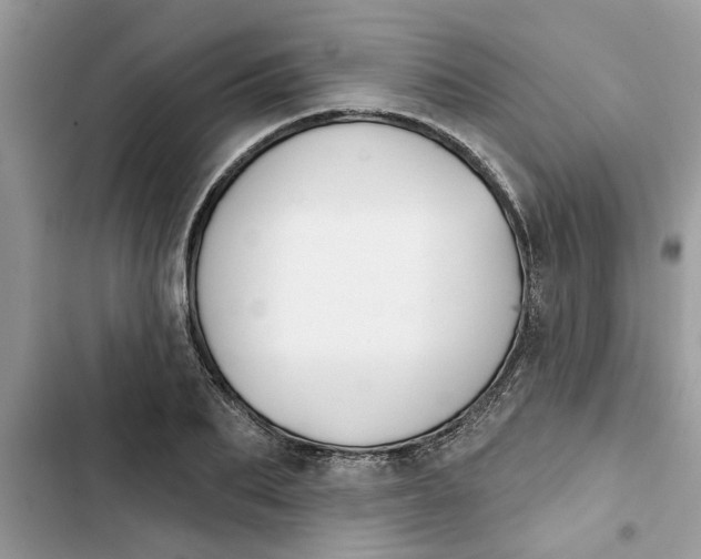 X0000103260887200809191716