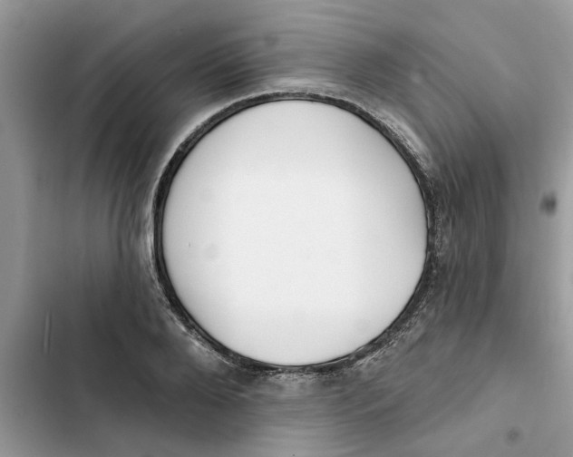 X0000103260888200809191716