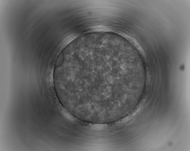 X0000103260889200809191716