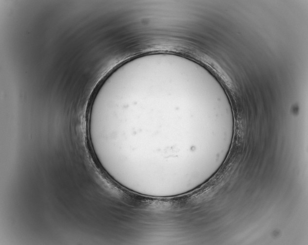 X0000103260890200809191716