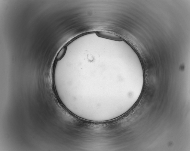 X0000103260892200809191716