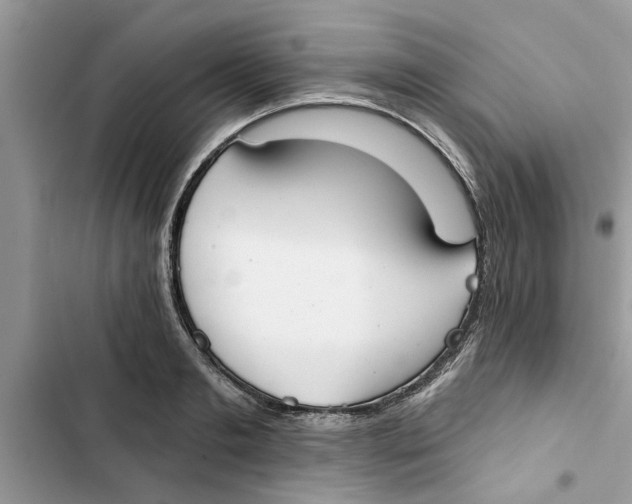 X0000103260893200809191716