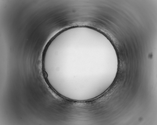 X0000103260894200809191716