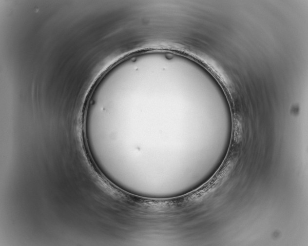 X0000103260895200809191716