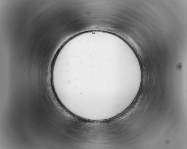 X0000103260896200809191716