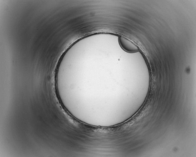 X0000103260898200809191716