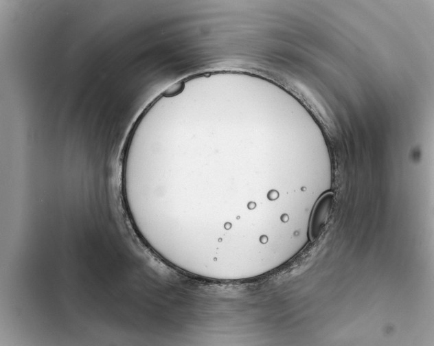 X0000103260900200809191716