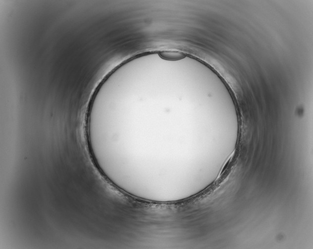 X0000103260901200809191716