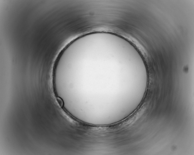 X0000103260902200809191716