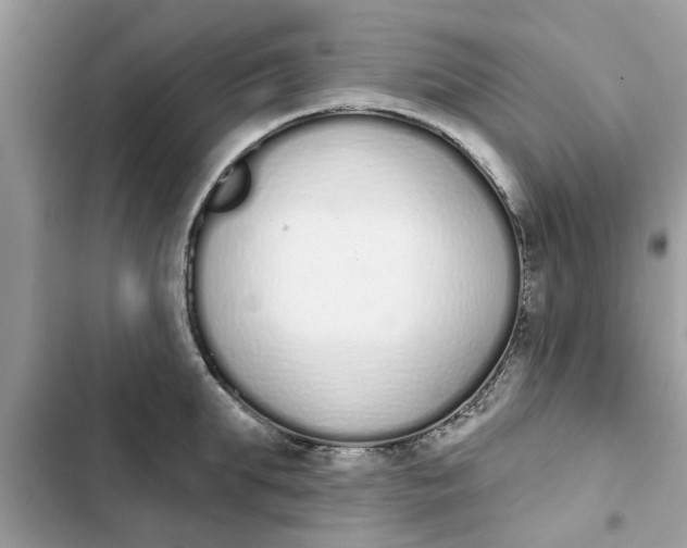 X0000103260903200809191716