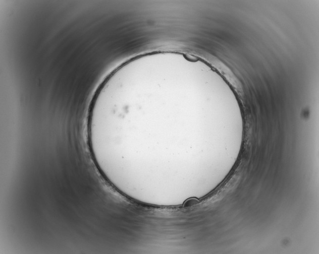 X0000103260904200809191715