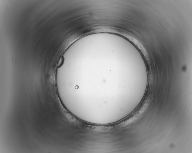 X0000103260905200809191715