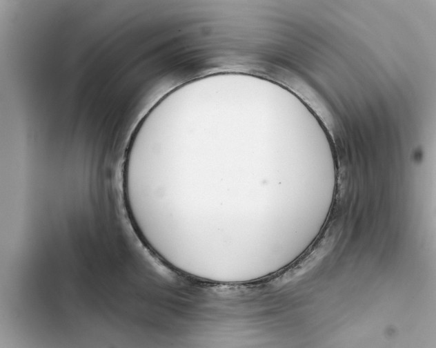 X0000103260906200809191715