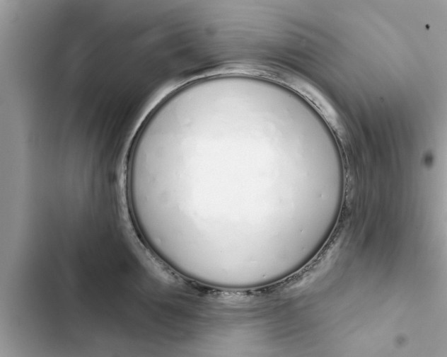 X0000103260907200809191715