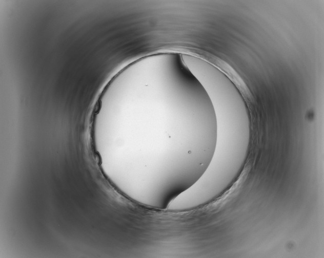 X0000103260908200809191715