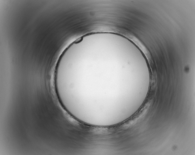 X0000103260909200809191715