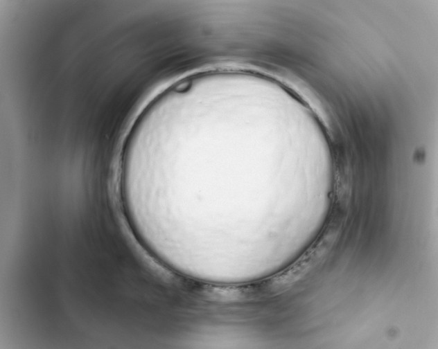 X0000103260911200809191715