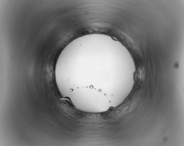 X0000103260915200809191715